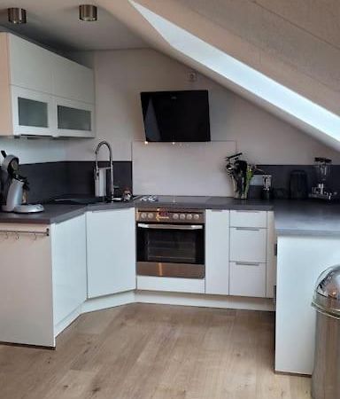 Apartment Schwarzwaldmaedel Friedenweiler Εξωτερικό φωτογραφία