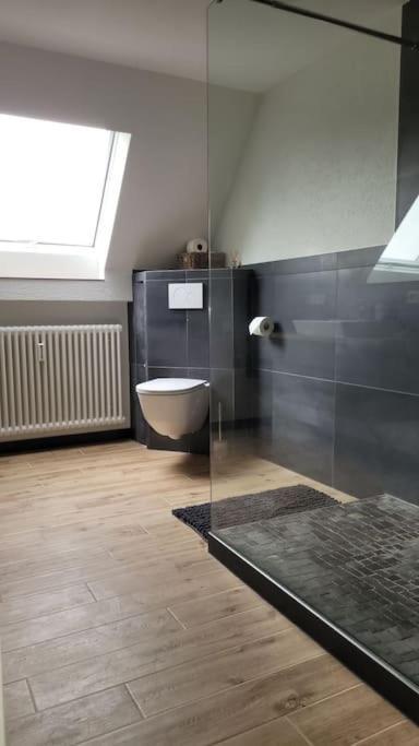 Apartment Schwarzwaldmaedel Friedenweiler Εξωτερικό φωτογραφία