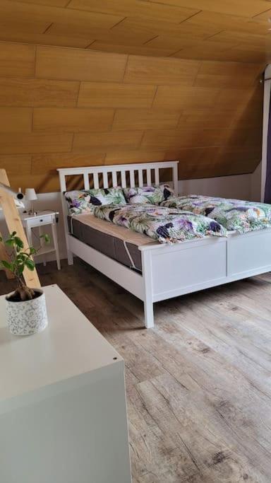 Apartment Schwarzwaldmaedel Friedenweiler Εξωτερικό φωτογραφία