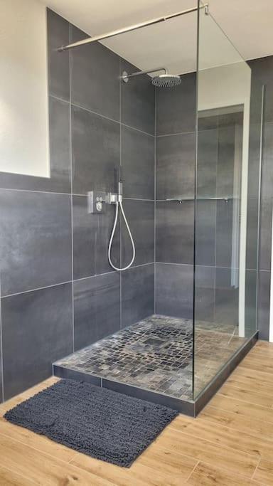 Apartment Schwarzwaldmaedel Friedenweiler Εξωτερικό φωτογραφία
