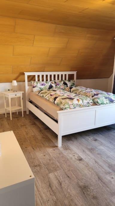Apartment Schwarzwaldmaedel Friedenweiler Εξωτερικό φωτογραφία